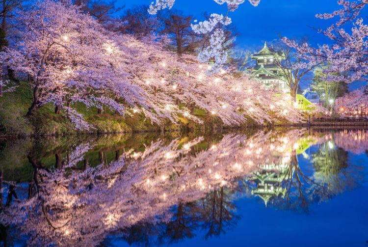 Японский парк Такада в ожидании Фестиваля цветущей вишни