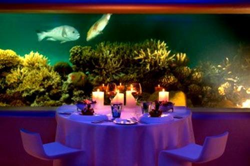 Ресторан Latitude 4° на Мальдивах: вид на подводную вселенную